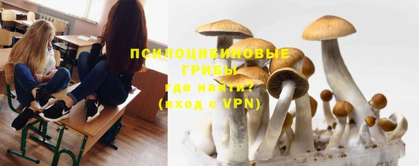 молекула духа Сосновоборск