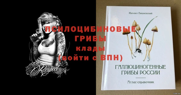 молекула духа Сосновоборск
