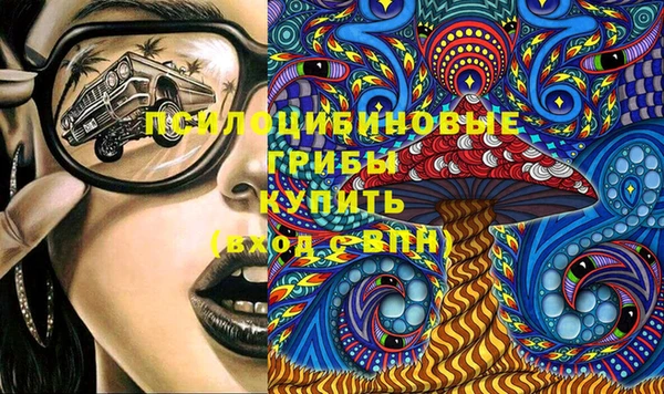 PSILOCYBIN Строитель