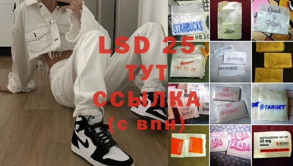 PSILOCYBIN Строитель