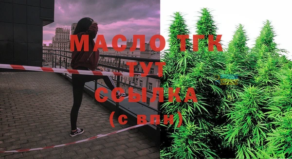 молекула духа Сосновоборск