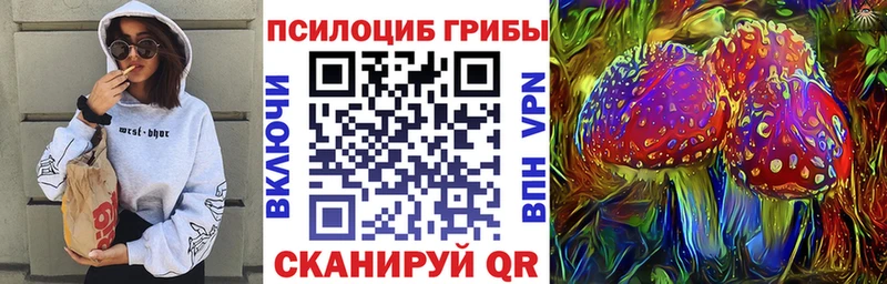 Псилоцибиновые грибы Cubensis Агидель